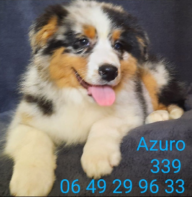 AZURO