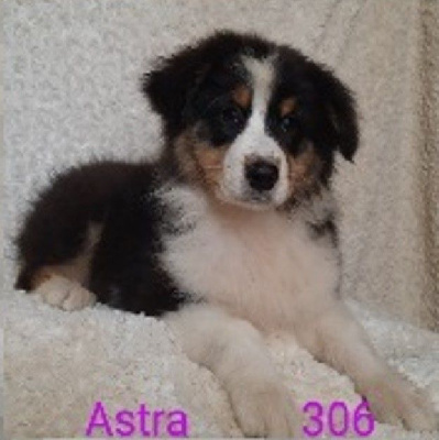 ASTRA
